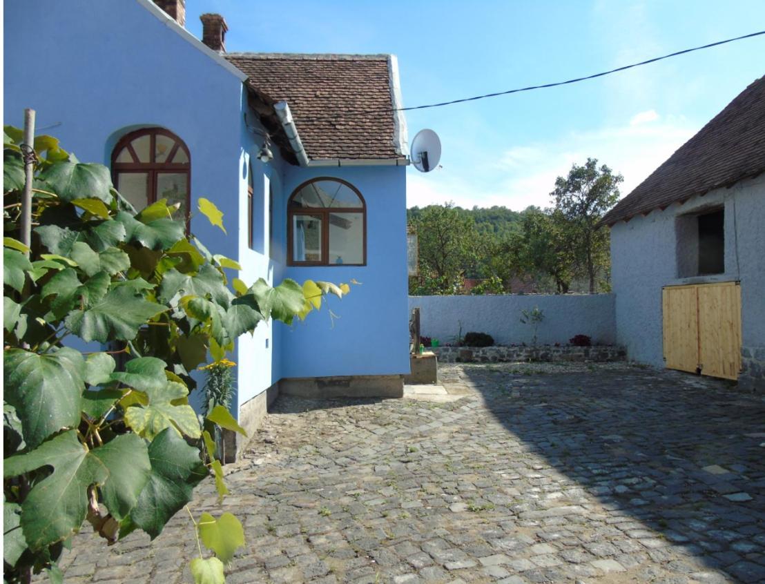 The Dream House Of Racos Villa Alsórákos Kültér fotó