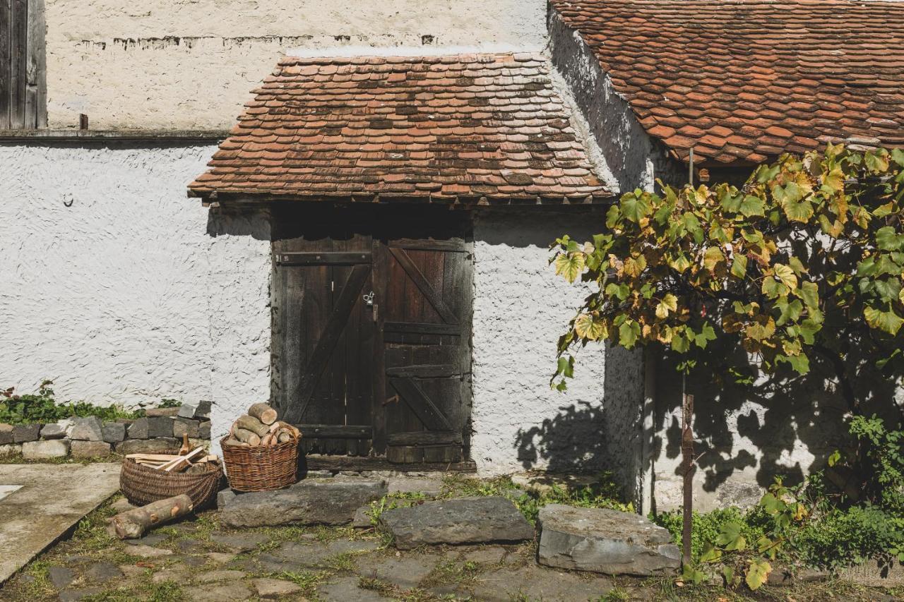 The Dream House Of Racos Villa Alsórákos Kültér fotó